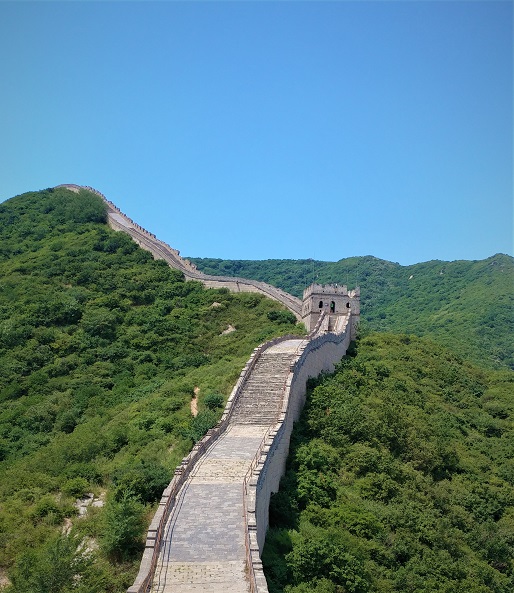دیوار بزرگ چین در میان تپه های سبز